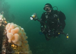 Mark. Farne islands. D200, 10.5mm. by Derek Haslam 